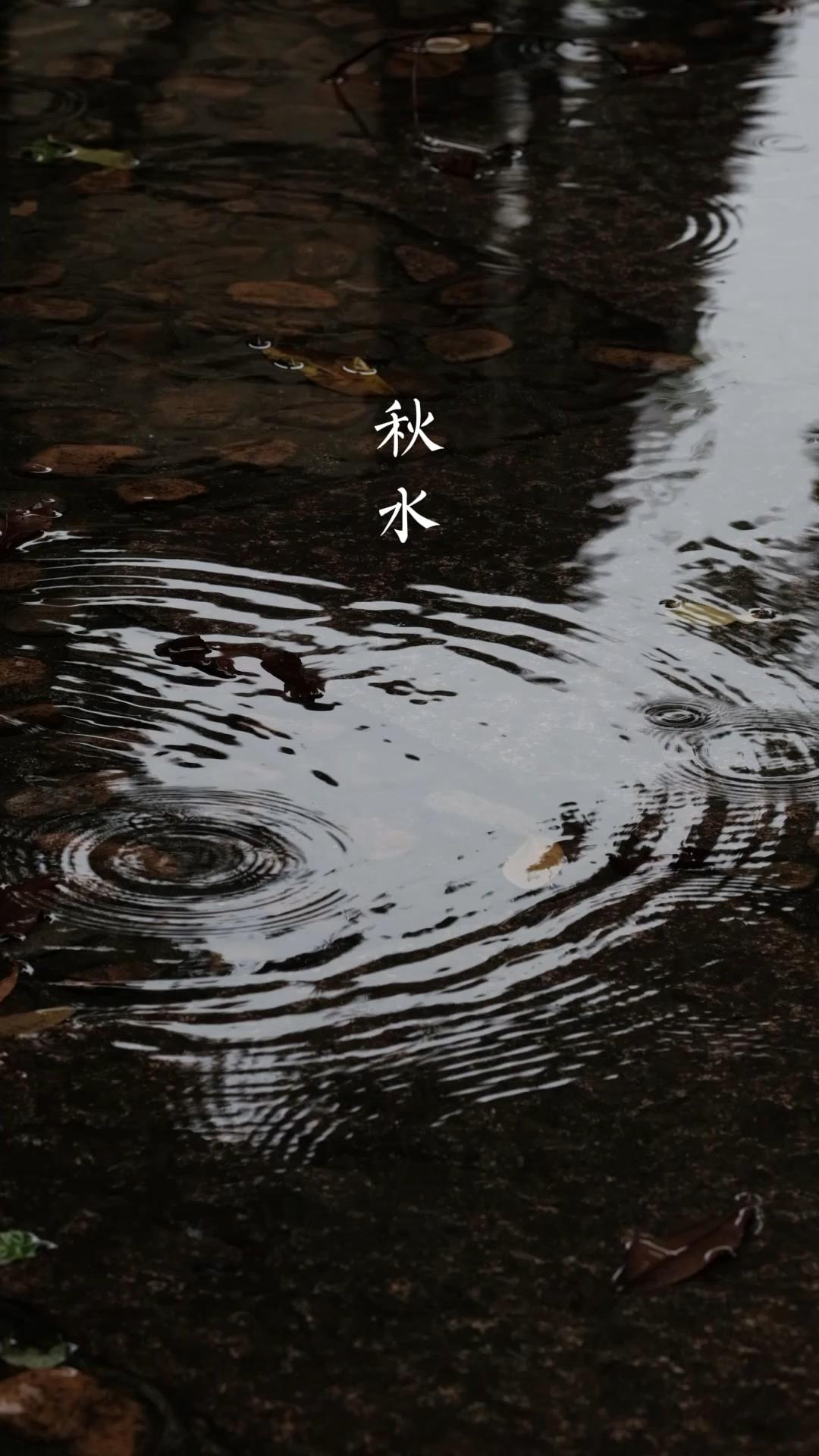 你知道有哪些专门描写秋天的雨的诗词呢?