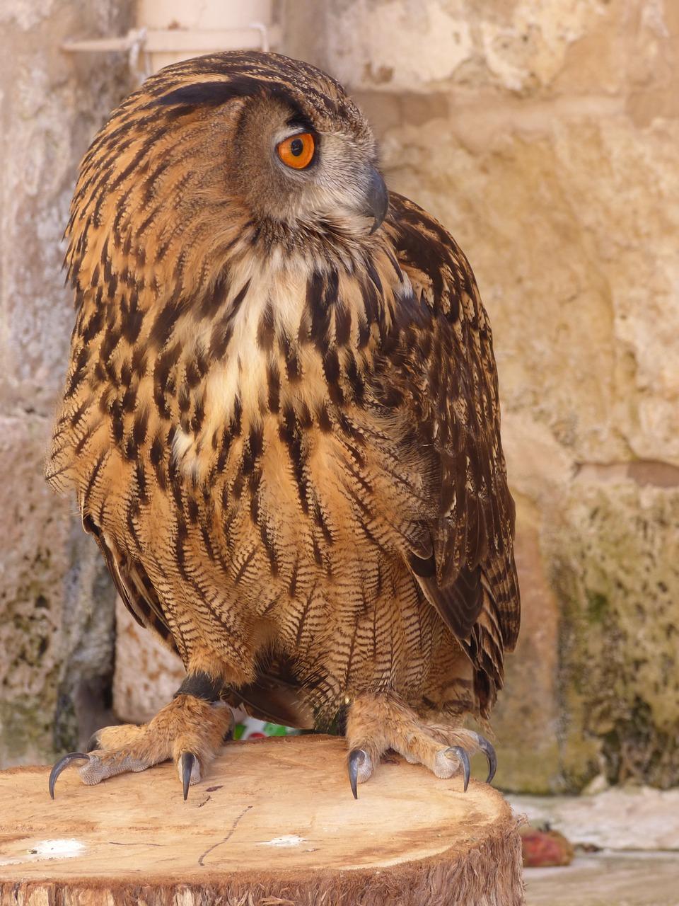 3. 国际化配套齐全