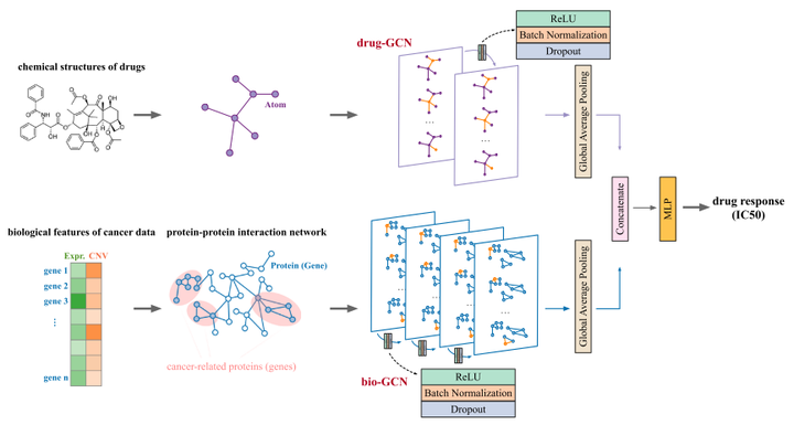 论文理解DualGCN: a dual graph convolutional network model to predict cancer ...