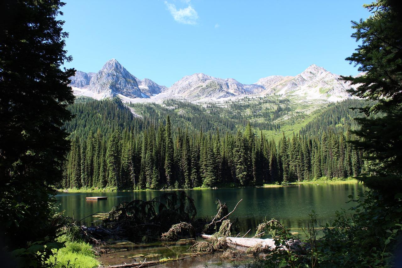 1. 湖畔别墅品牌