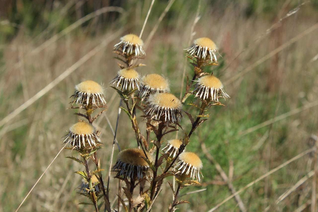 5. 穿心局装修建议