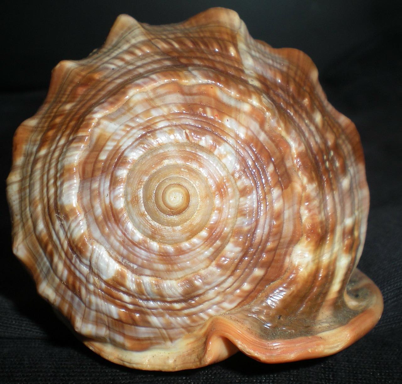 2. 精选外壳材料