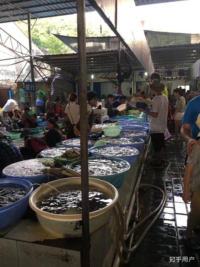 涠洲岛旅游攻略有哪些?