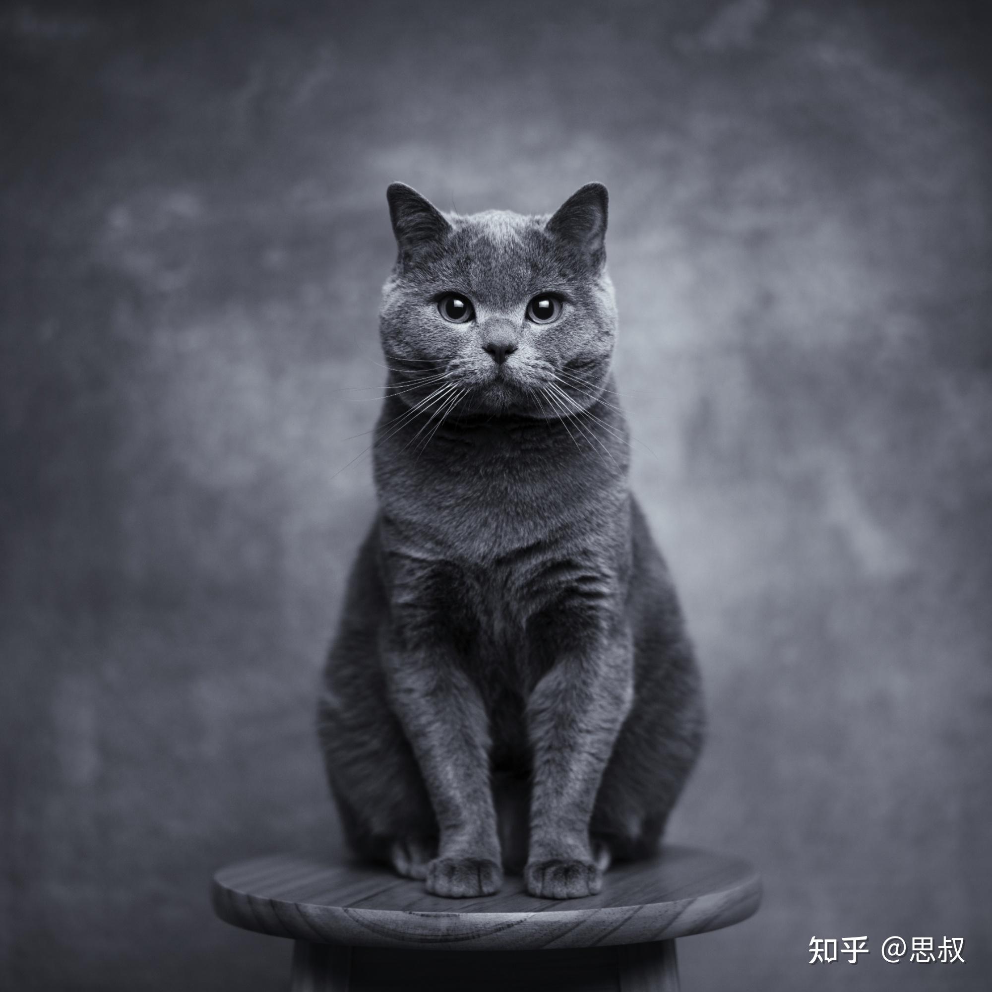 鏡頭收購