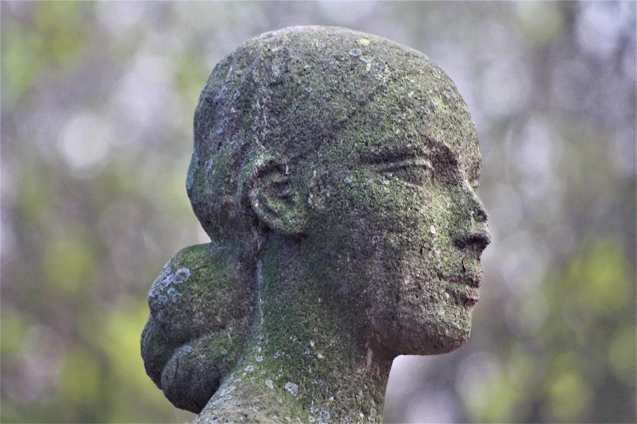 雕塑的泥要买多少