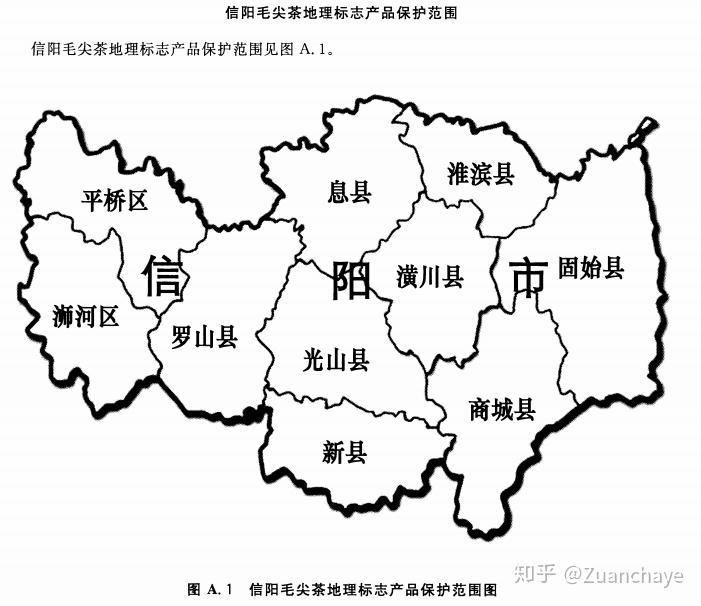 信阳毛尖有什么特点和功能