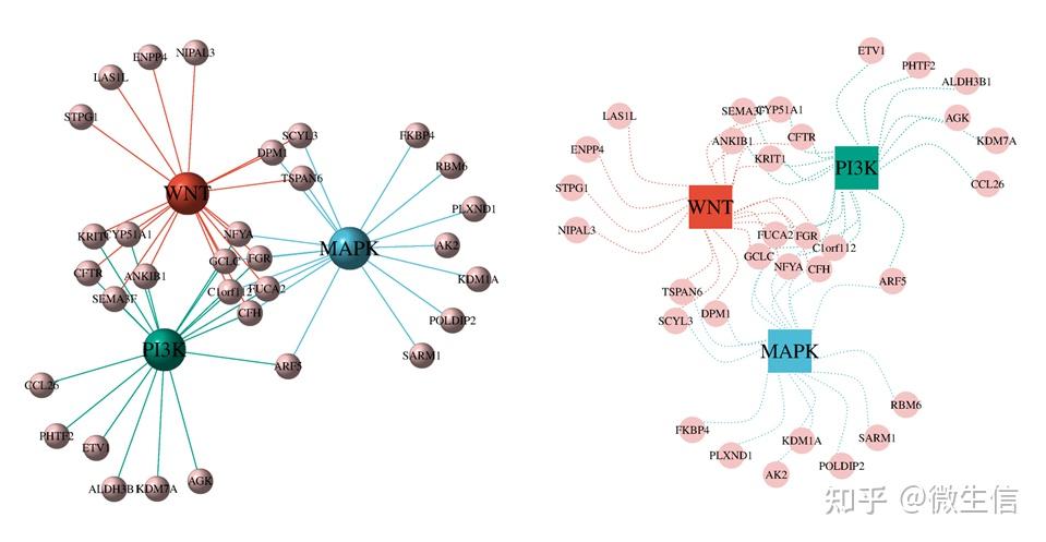 在线绘制展示基因集交集细节的网络venn图 - 知乎
