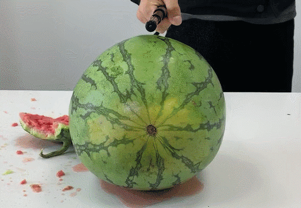 586_405gif 动态图 动图