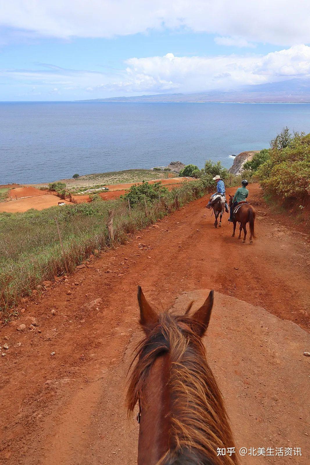夏威夷Maui活动攻略：绝美哈纳公路、浮潜、骑马、看日出等- 知乎