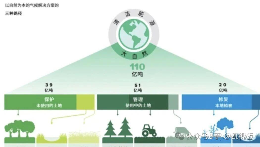 一文读懂|碳汇、碳足迹、碳配额、碳交易、CCUS、CCER - 知乎