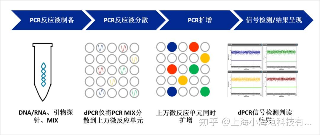 数字PCR 技术 —— 一种高精度、超灵敏的核酸绝对定量技术 - 知乎