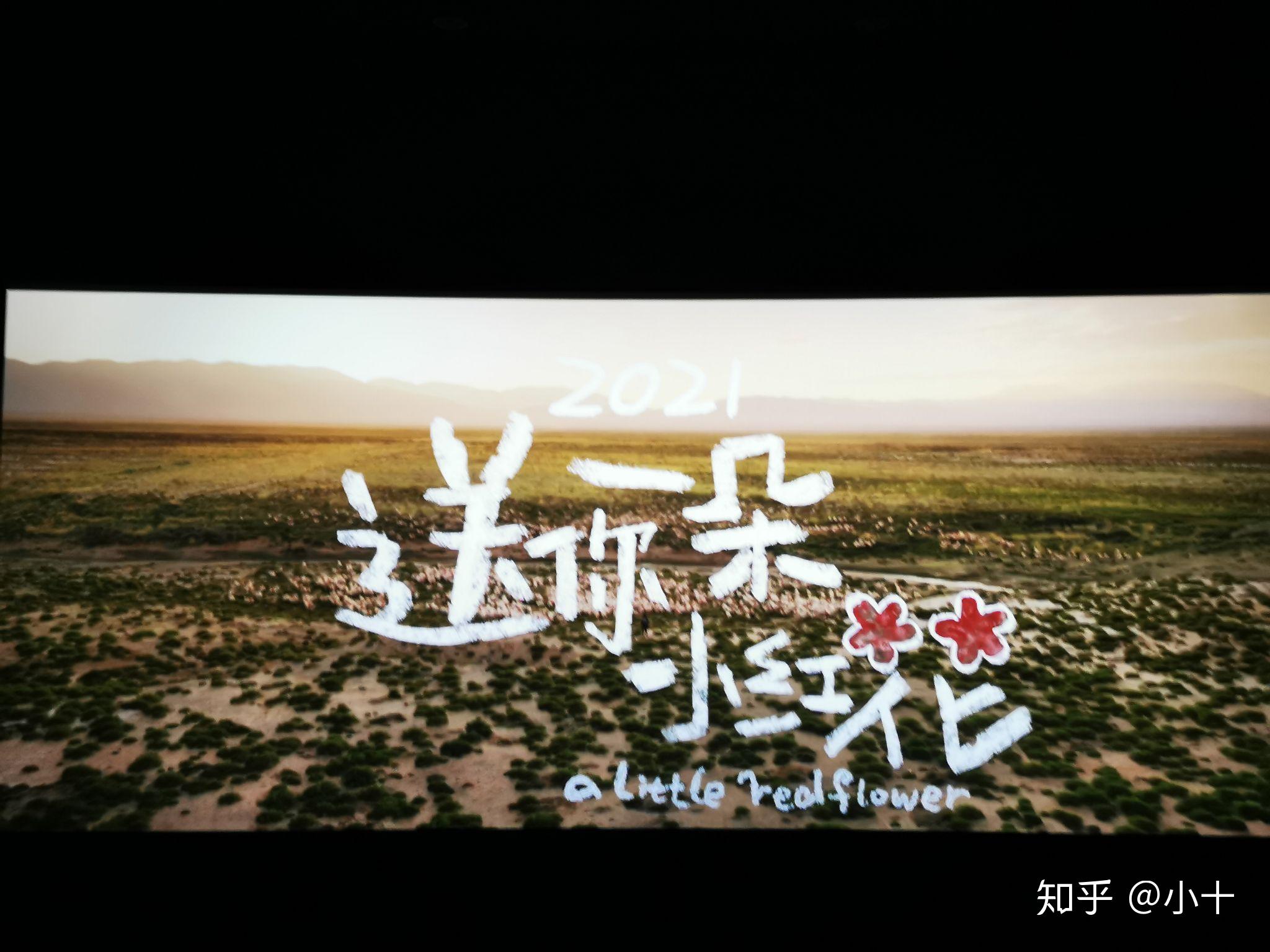 如何评价电影送你一朵小红花