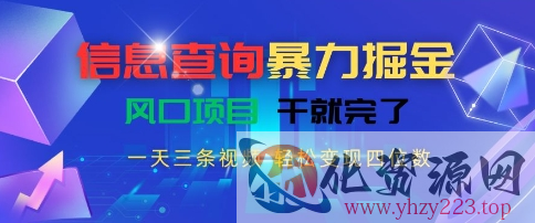 信息查询暴力掘金，一天三条视频，轻松变现四位数，风口项目干就完了【揭秘】