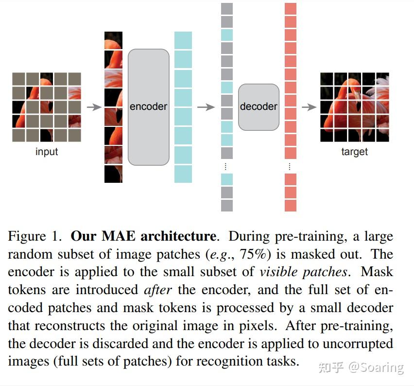 论文笔记(六) Vision Transformer & Masked Autoencoder - 知乎