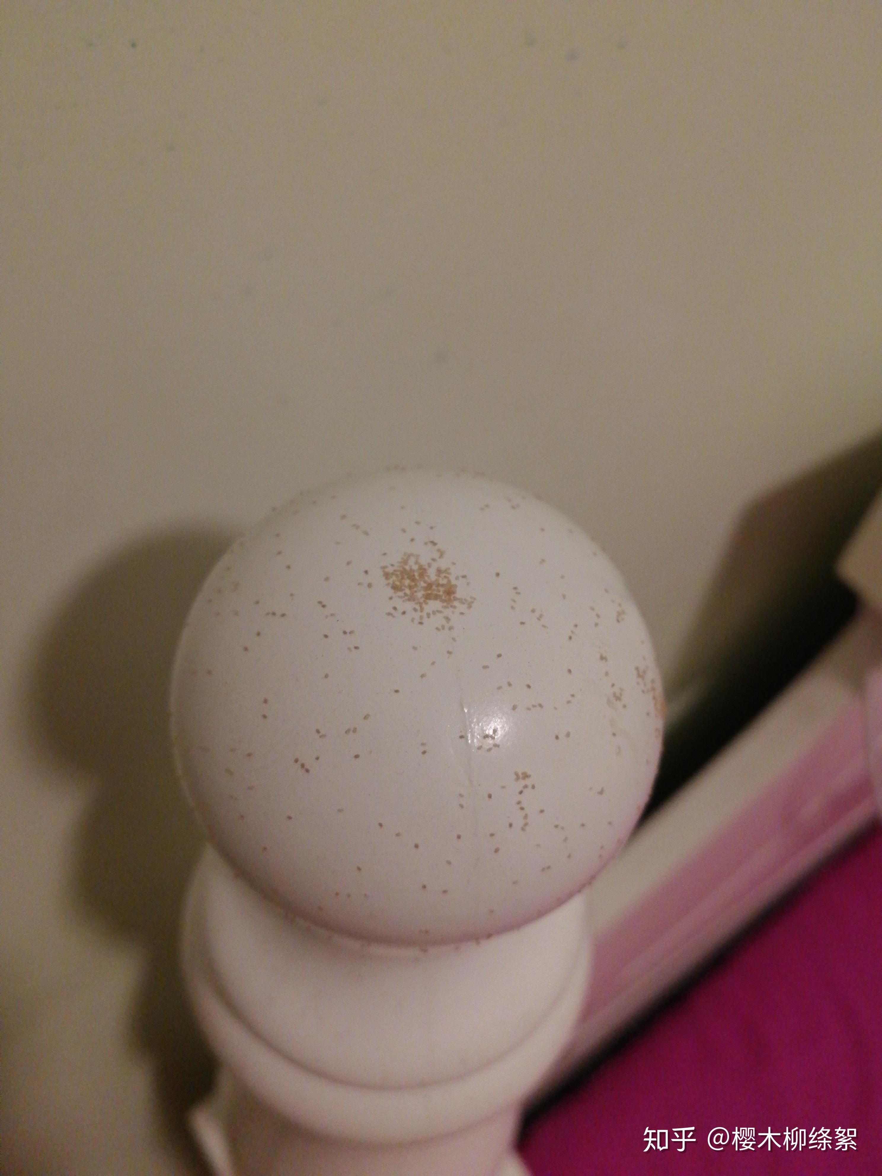 有人知道这种灰尘一样的虫子是什么虫吗