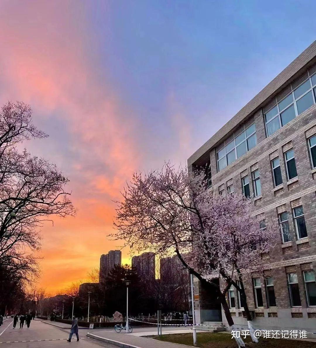 辽宁大学环境学院院徽图片