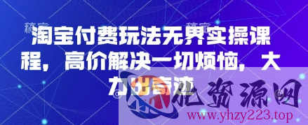 淘宝付费玩法无界实操课程，高价解决一切烦恼，大力出奇迹
