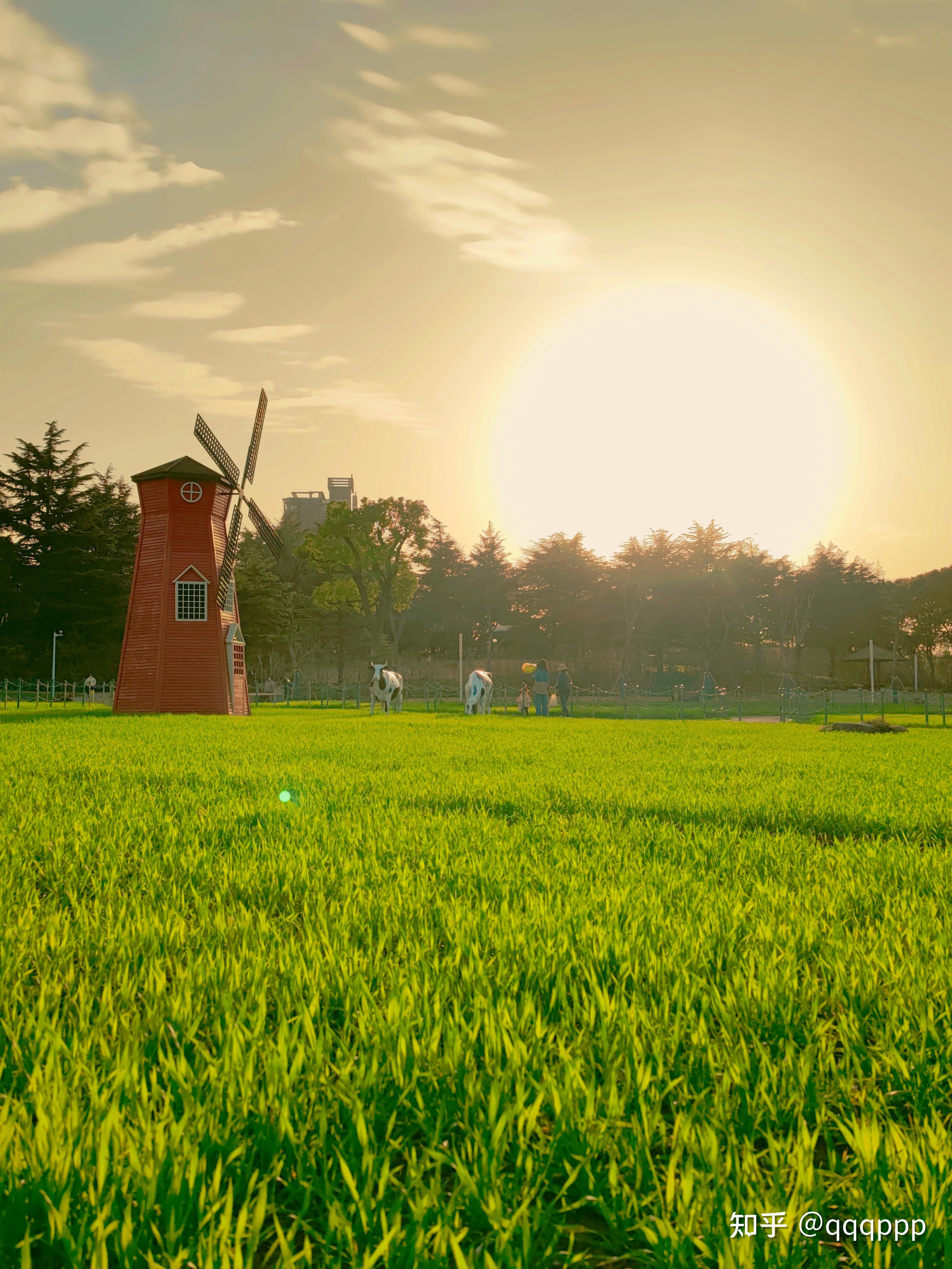 发一张你认为最美的风景照? - 知乎