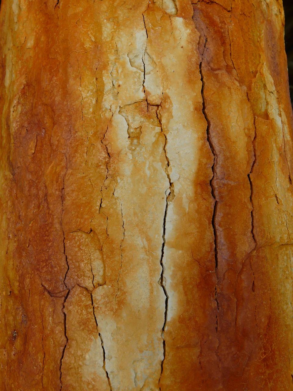 什么手串不开裂