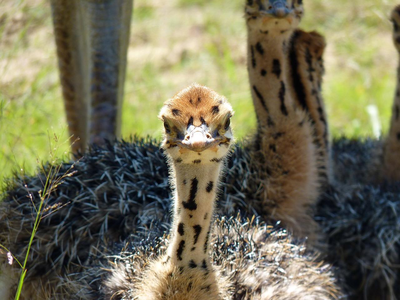 4. 智能家居系统
