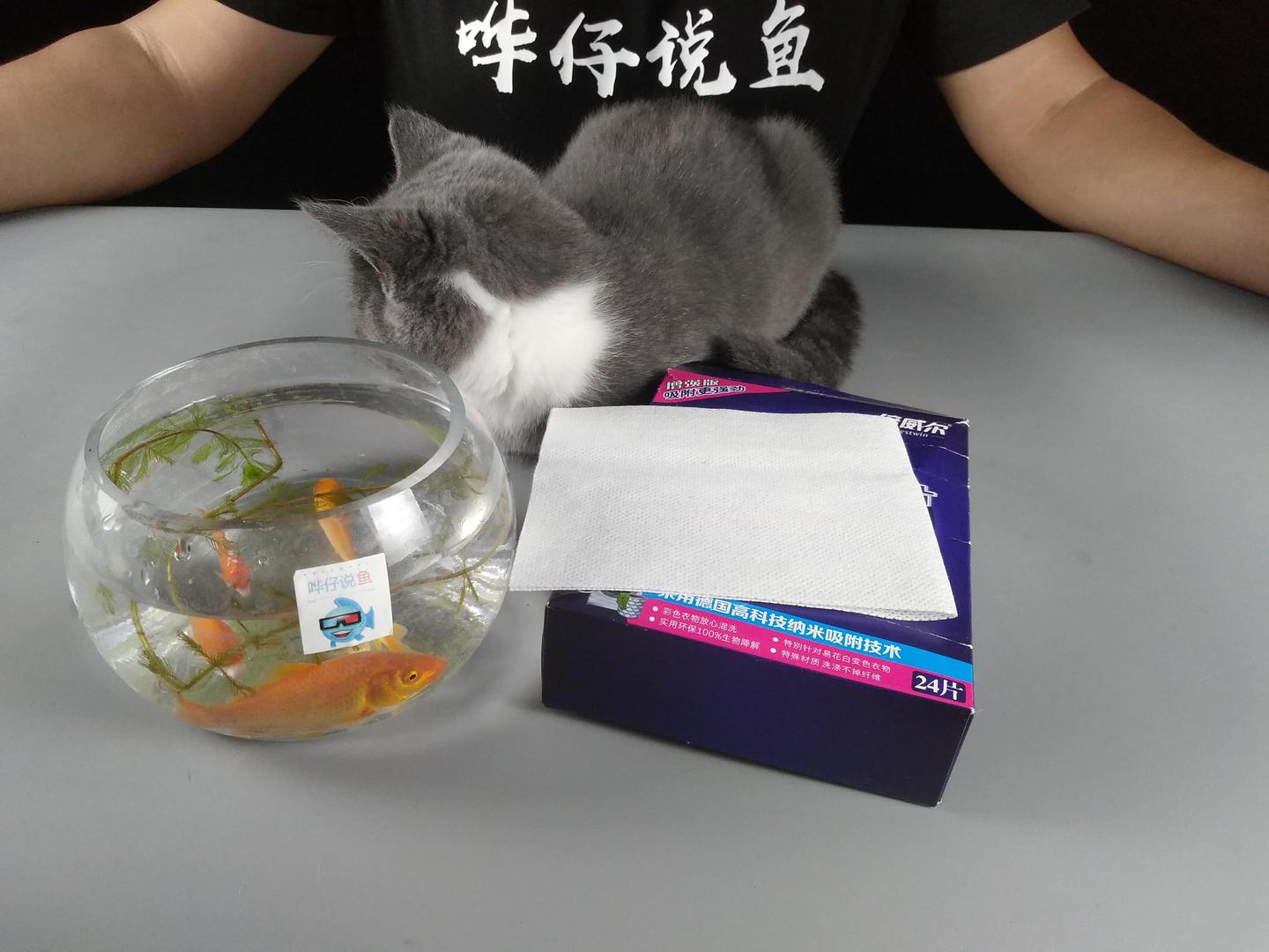 v2-2a9feafffdfd8e2b7dca2767630b4f56_1440w.jpg?source=172ae18b