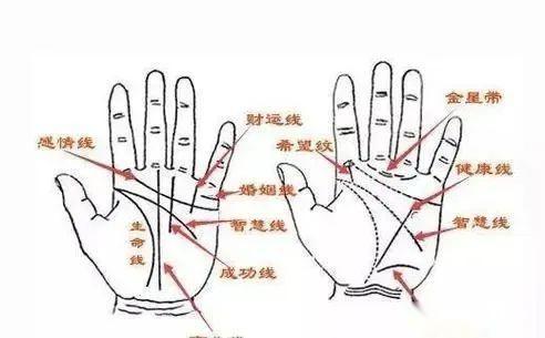 手握元宝、天生富贵的手相- 知乎