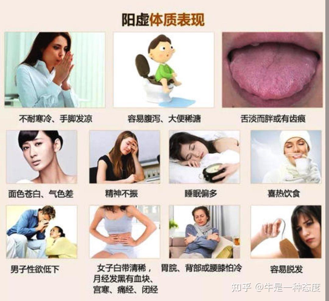 阳气不足喝什么茶好? - 知乎