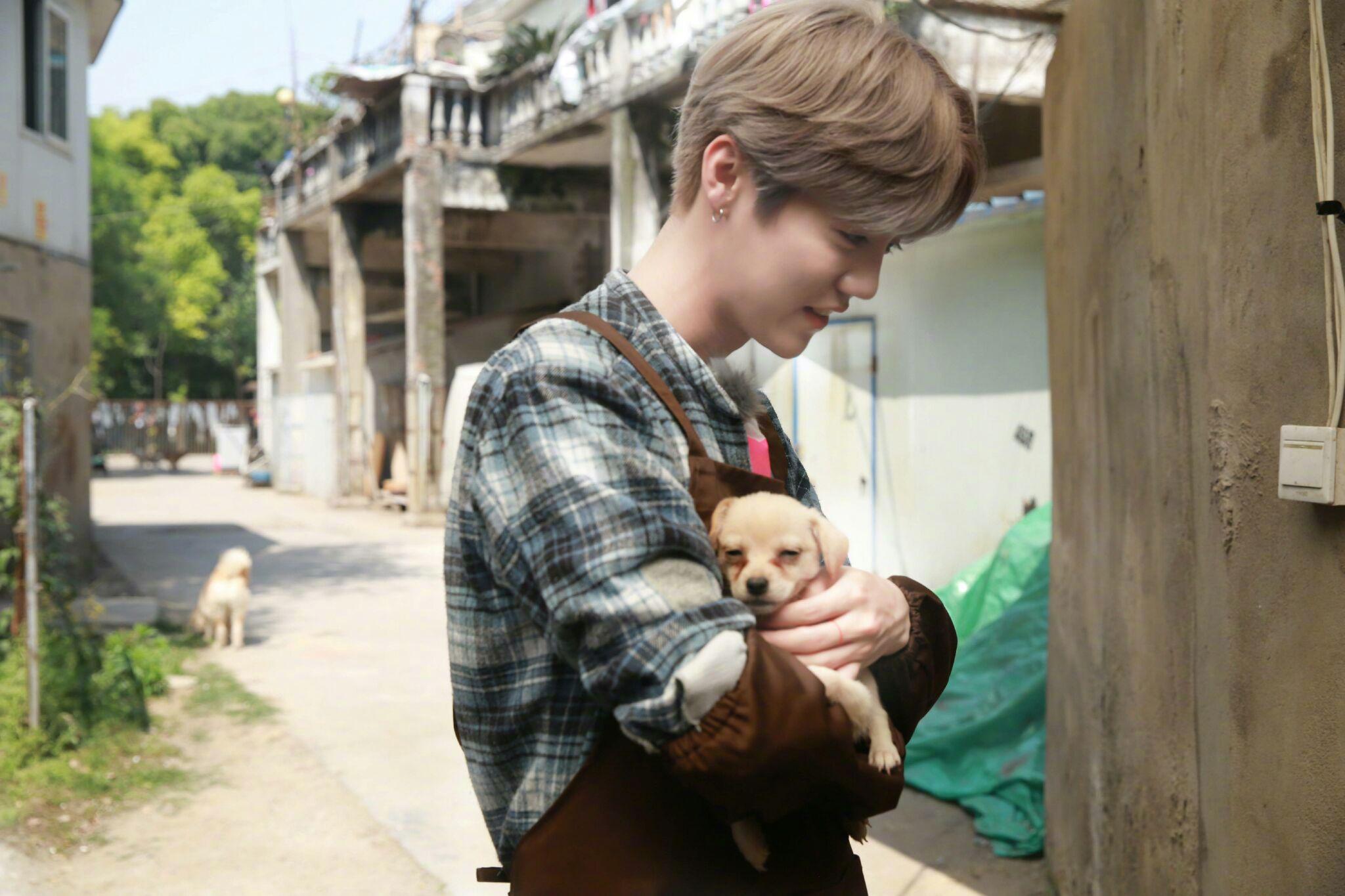 鹿晗效应能阐述一下吗鹿晗的影响力有多大