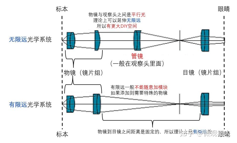显微基础丨③物镜 - 知乎