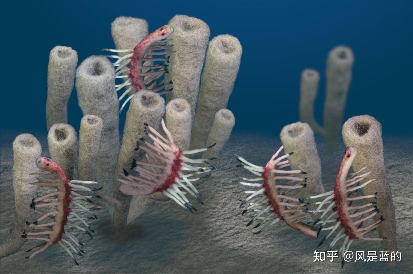 叶足动物门 Lobopodia的梳理 - 知乎