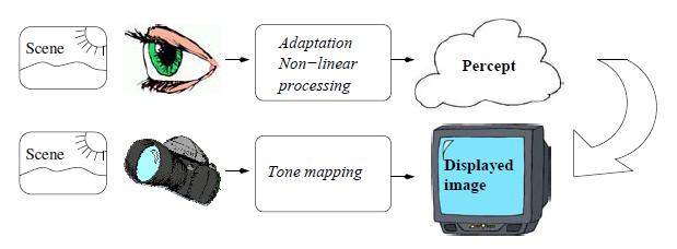 Understanding ISP Pipeline - Tone Mapping - 知乎