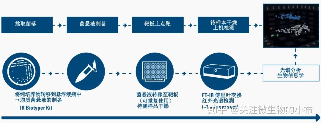 速查病菌传播 | 从 “看” 到 “懂” 病原菌，FT-IR 创新 “侦察兵”，告别繁琐流程 - 知乎