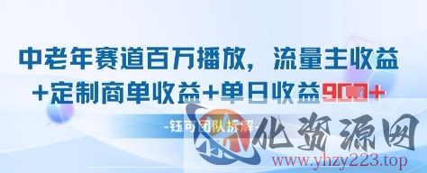 中老年赛道百万播放+流量主收益+定制收益，单日收益9张