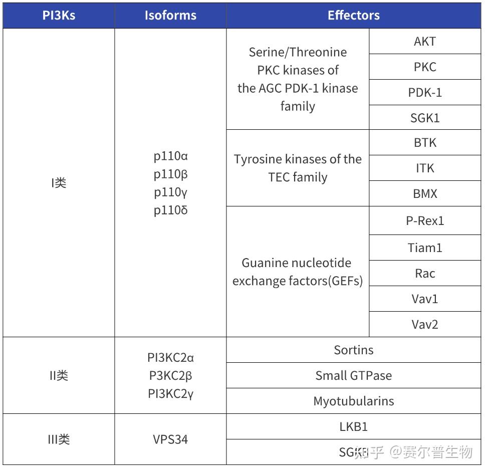 PI3K-Akt信号通路详解：通路激活+通路组成+通路串联+通路检测… - 知乎