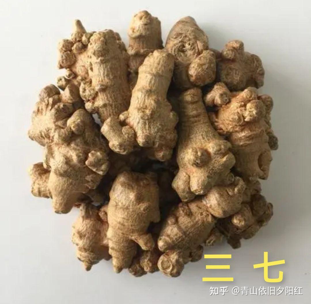 丹参有哪些功效和药用价值? - 知乎