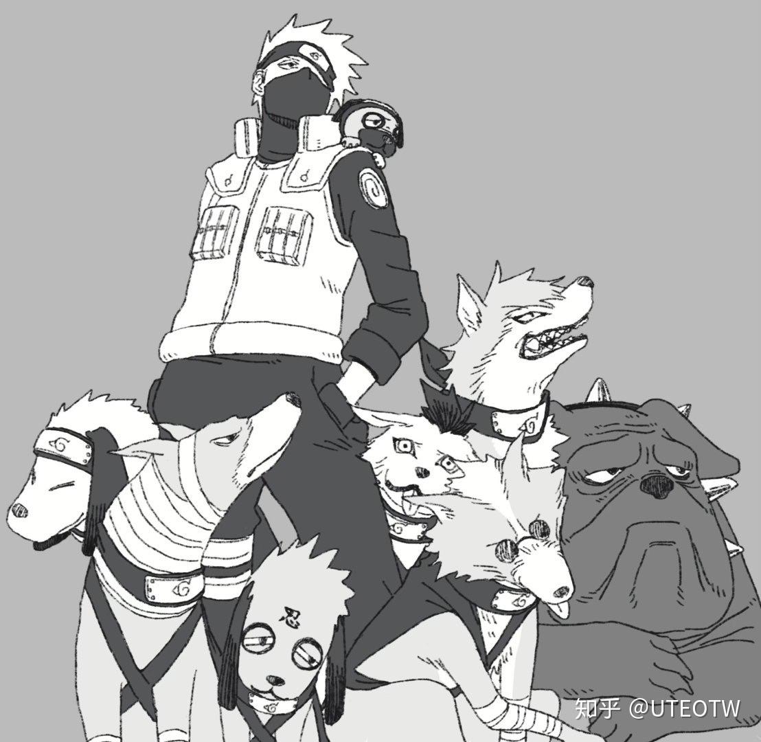 卡卡西的忍狗有哪些特性? - 知乎