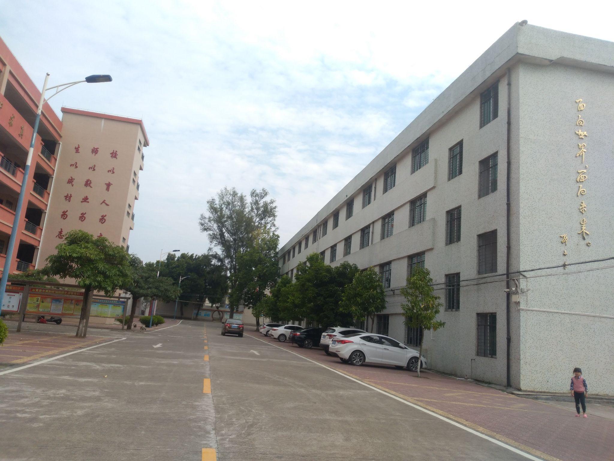 英德市田家炳中学怎么样,读职中好还是田中好? - 知乎
