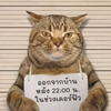 豆皮111