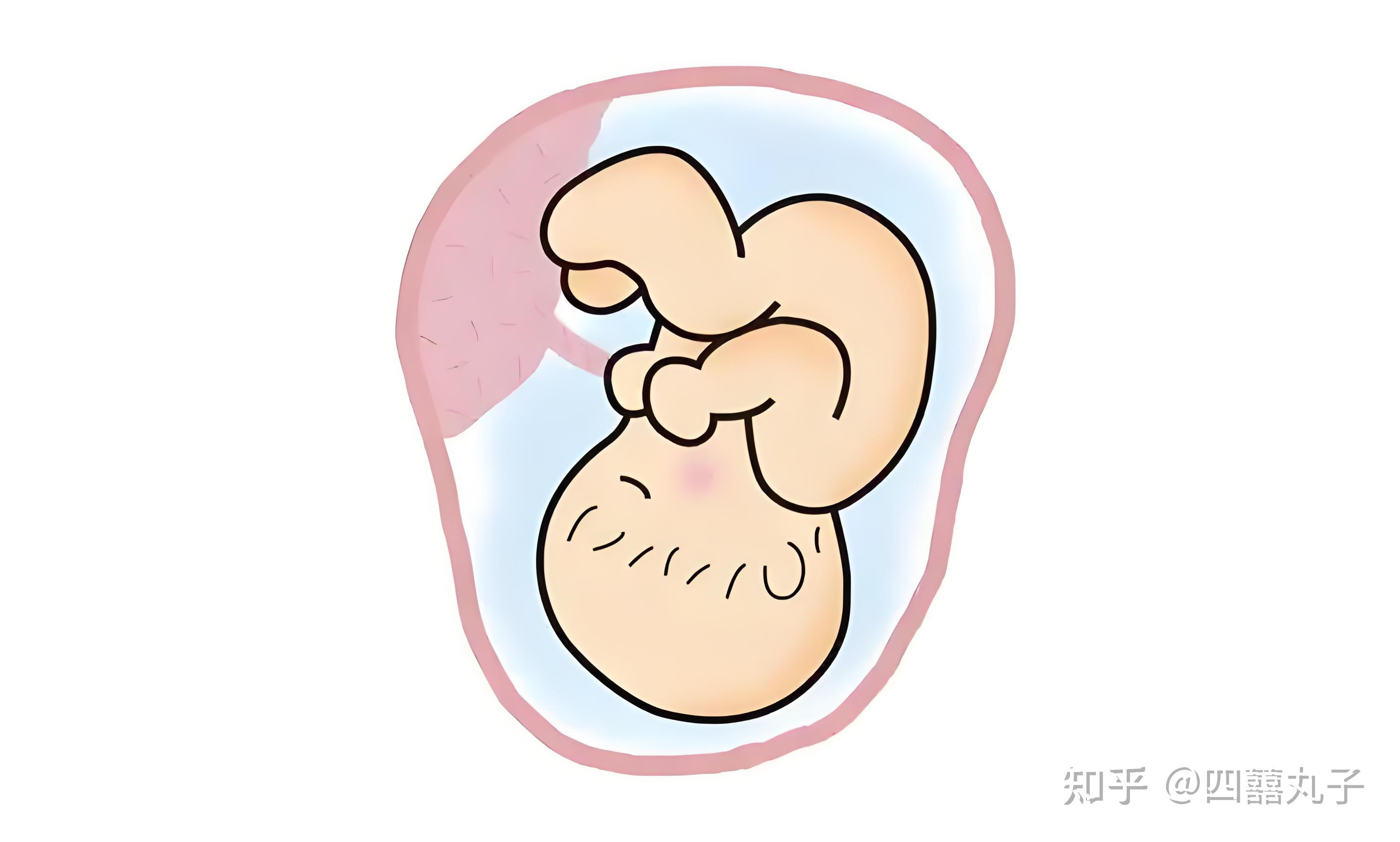 胎盘“几成熟”是宝宝出生的最佳时间?各位孕妈心里一定要有杆秤 - 知乎