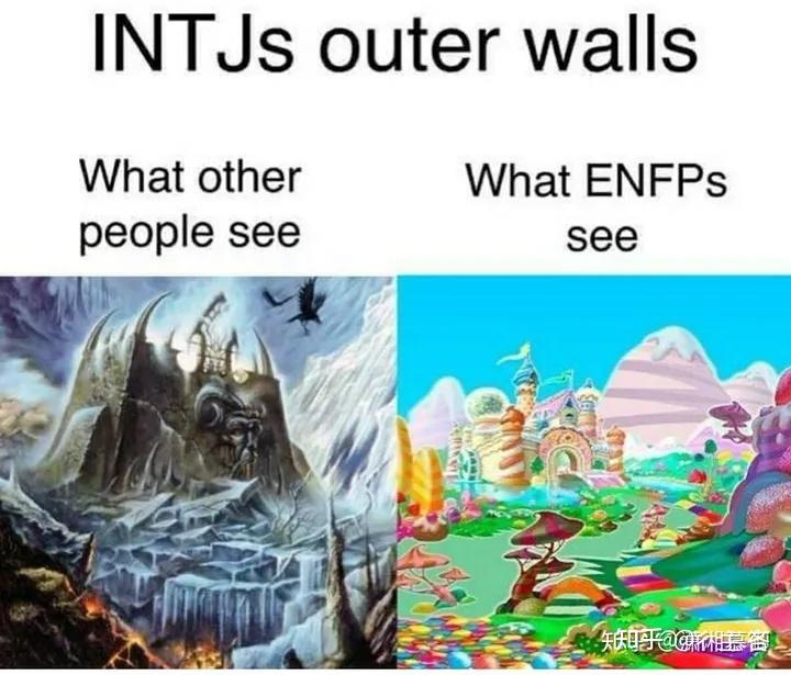 ENFP和INTJ相处起来怎么样？ - 知乎