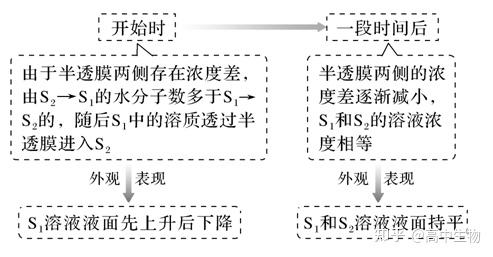 渗透装置分析 - 知乎