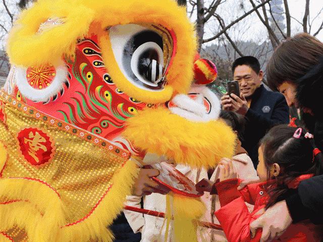 元宵舞狮中国瑰宝，传承“非遗” - 知乎