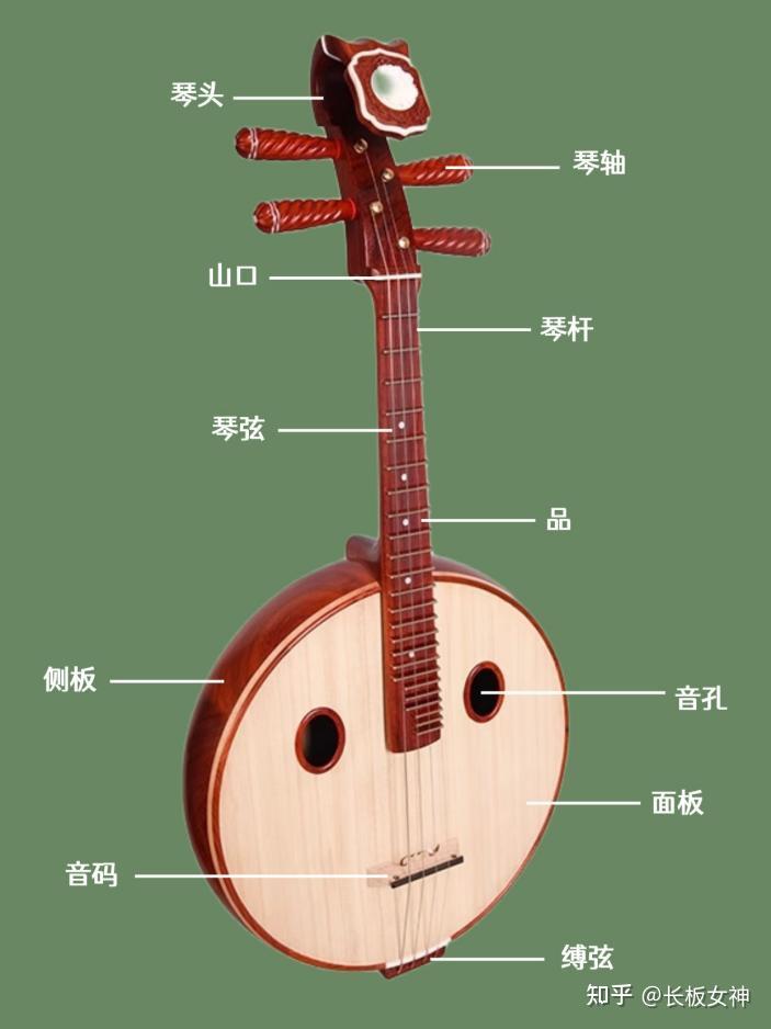 20年民乐教师揭秘:中阮如何选购?新手中阮避坑指南,附3款高性价比型号推荐