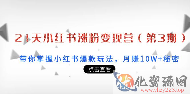 21天小红书涨粉变现营（第3期）：带你掌握小红书爆款玩法，月赚10W+秘密插图