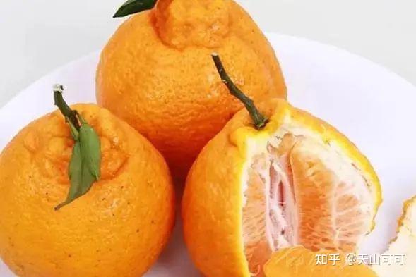 丑柑和粑粑柑的区别是什么? - 知乎