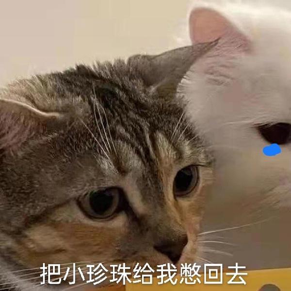 100个可爱表情包 - 知乎