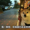 我才是小周周