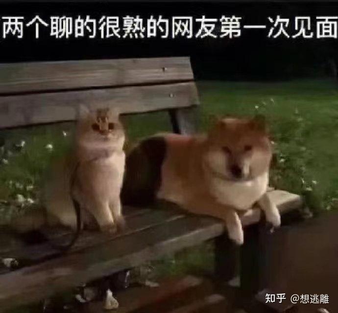 超搞笑的表情包来咯!!! - 知乎