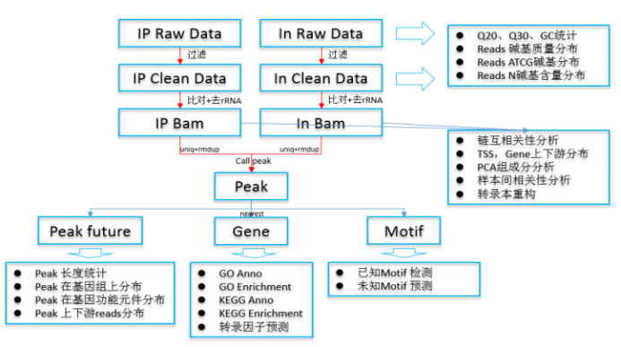 Ripseq RNA结合蛋白研究技术:RIP-seq实验分析流程及案例分享 - 知乎