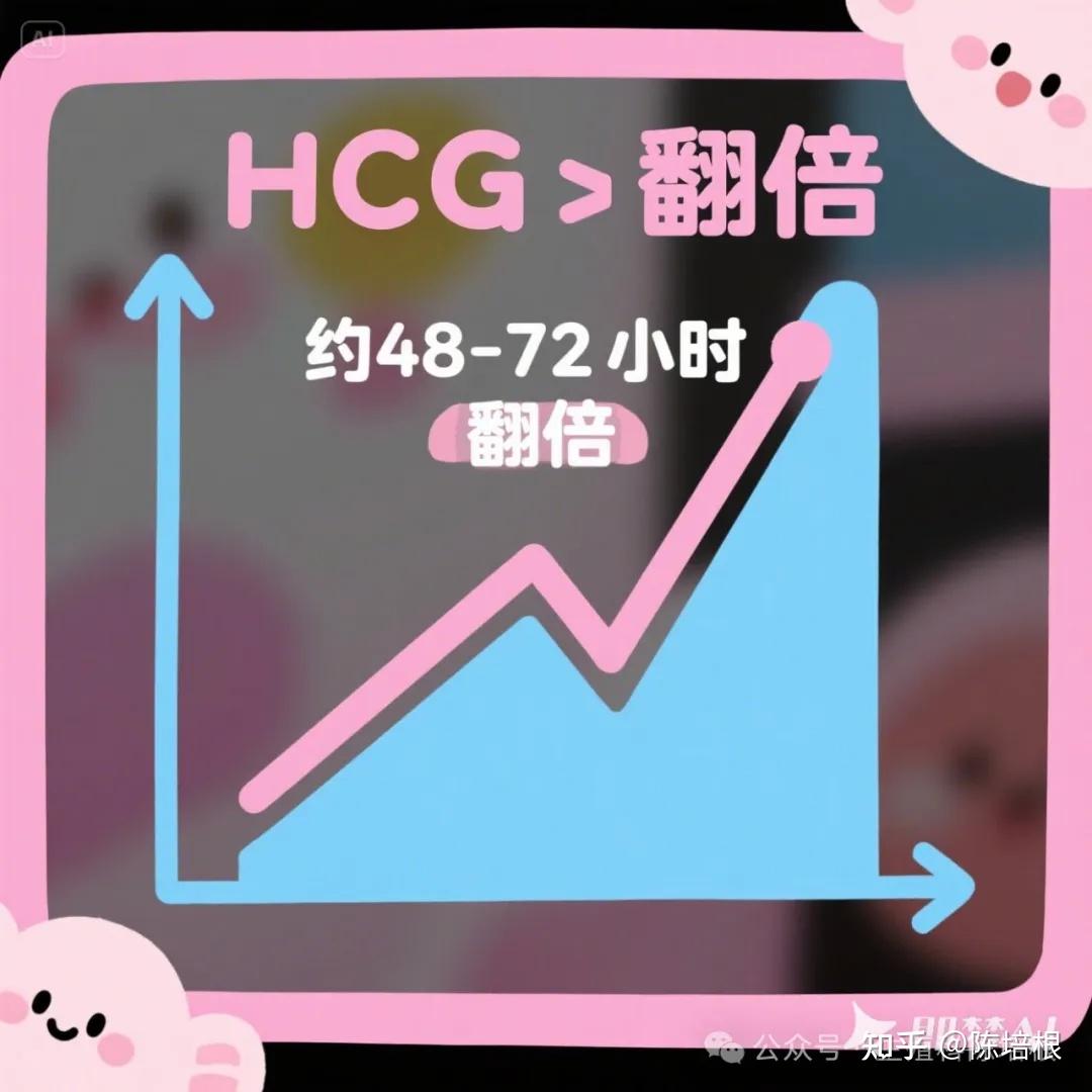 早孕期宝宝长得好不好,HCG告诉你! - 知乎